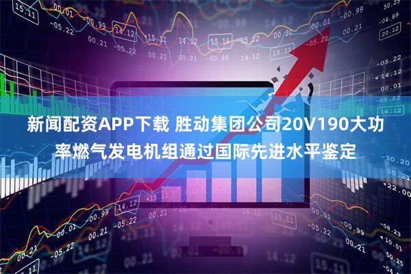 新闻配资APP下载 胜动集团公司20V190大功率燃气发电机组通过国际先进水平鉴定