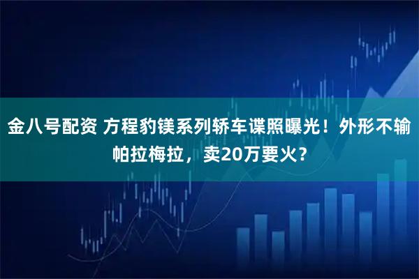 金八号配资 方程豹镁系列轿车谍照曝光！外形不输帕拉梅拉，卖20万要火？